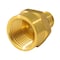 Apollo 1/2 in. Brass PEX-A Barb x 1/2 in. FNPT Female Adapter EPXFA1212 - alternate 5